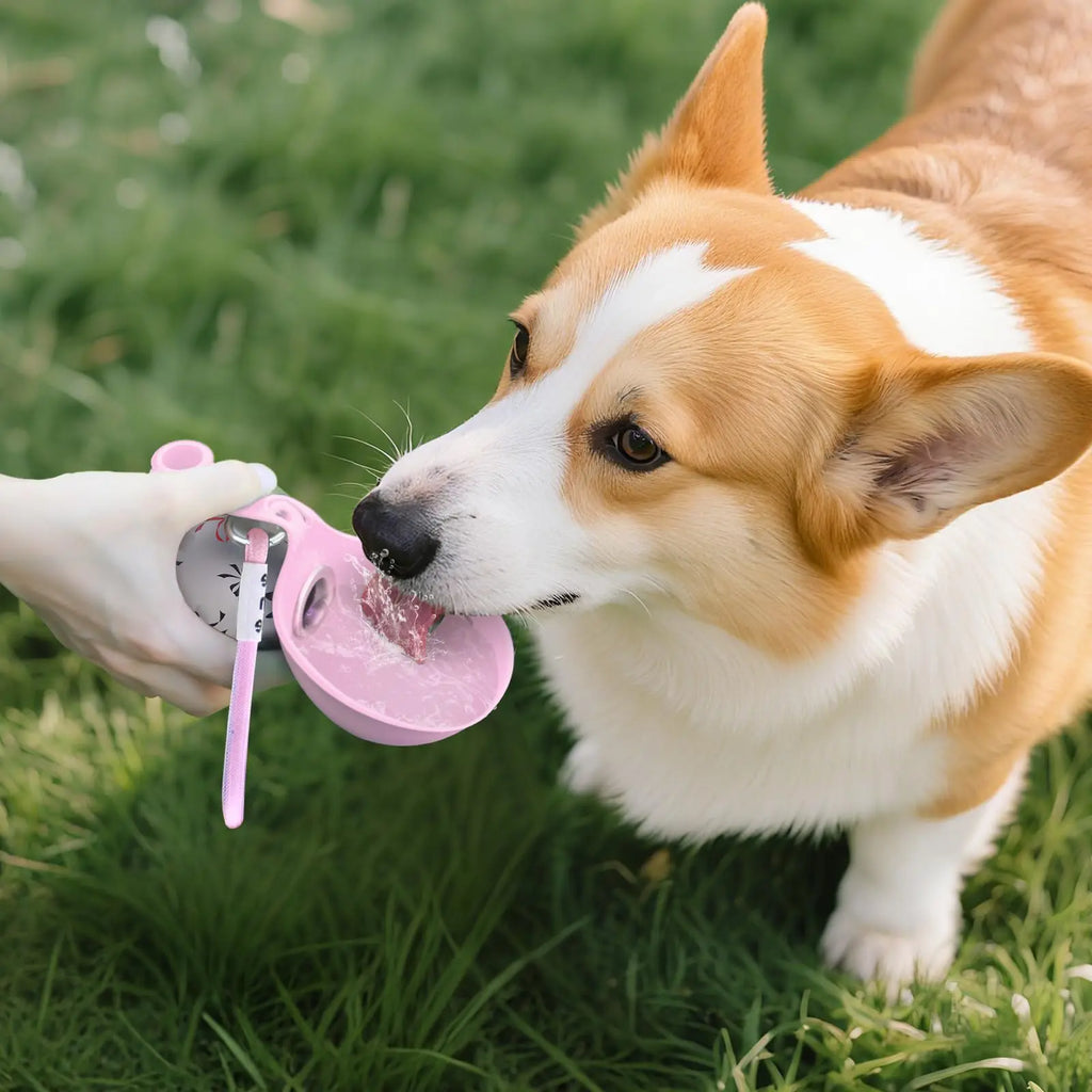 2-in-1 Portable Dog Water Bottle – Leakproof Travel Bowl for Small Dogs
