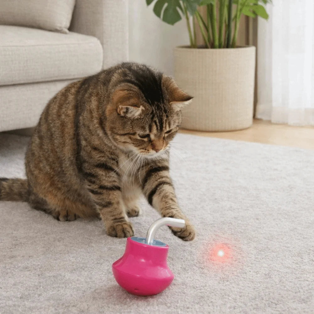 Keep Your Cat Busy for Hours – Smart 360° Laser Toy (USB Rechargeable)