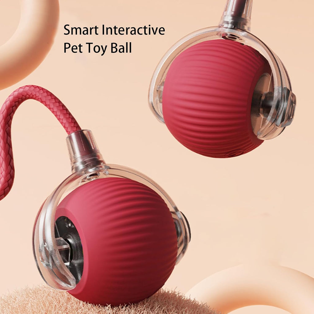 Smart 360° auto-rolling ball toy for dogs and cats