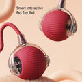 Smart 360° auto-rolling ball toy for dogs and cats