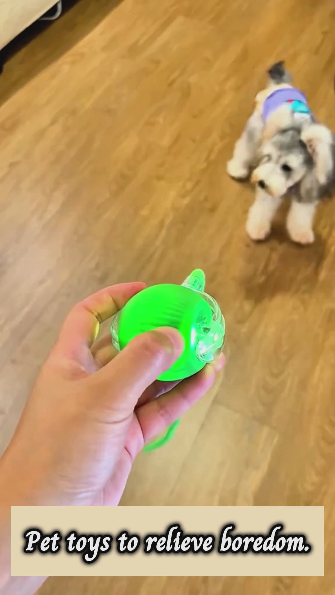 Self-Cleaning Pet Grooming Brush – Removes Loose Hair & Reduces Shedding Instantly